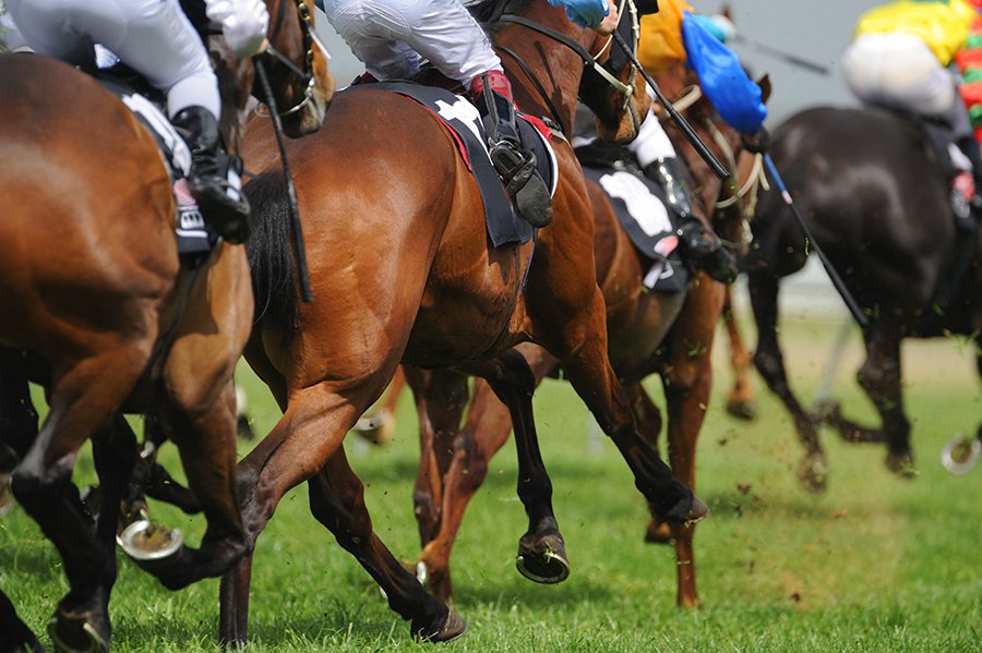 RACE NIGHT AT COMPTON PARK THIS COMING SATURDAY.